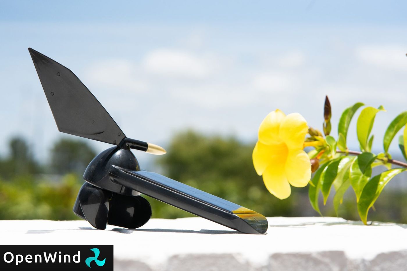 OpenWind with flowers